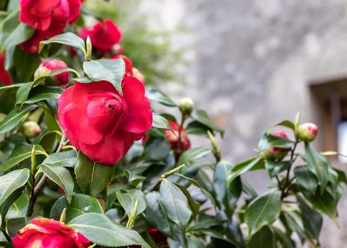 43b Nature With Parking By Aston *